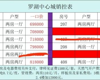 深圳罗湖中心城，黄贝岭小产权房白菜价两房总价69.8万一套