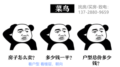 小产权房新手买房.png
