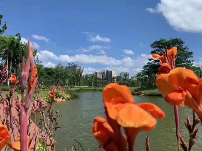 1661432016203906.jpg 微信图片_20220825205245.jpg