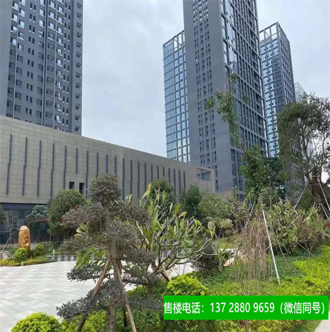 1665304893384413.jpg 微信图片_20220909132649.jpg