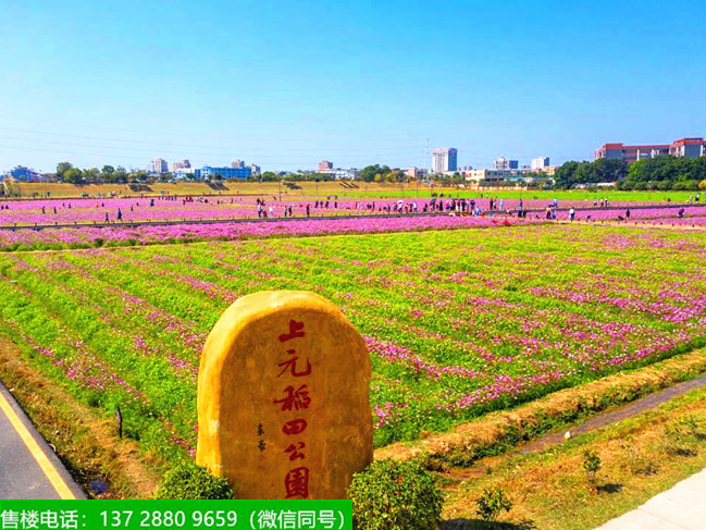 1665370181569970.jpg 1658901933160138.jpg