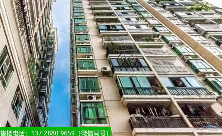 1665385008601023.jpg 1660572611236587.jpg