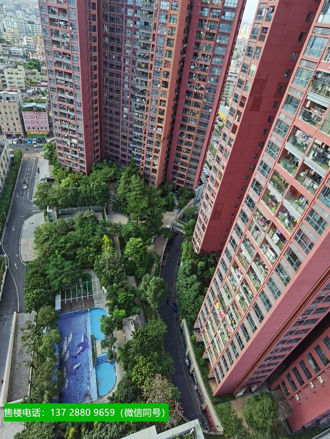 龙岗2022年值得推荐花园房!龙岗(金汐雅居) 规划(金汐雅居)简介(金汐雅居)骏泰金汐府旁.jpg