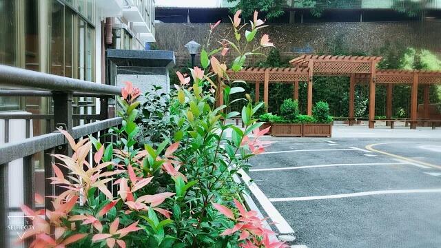 观澜最便宜的村委房（惠民雅居）6栋村委统建楼，带装修现房出售