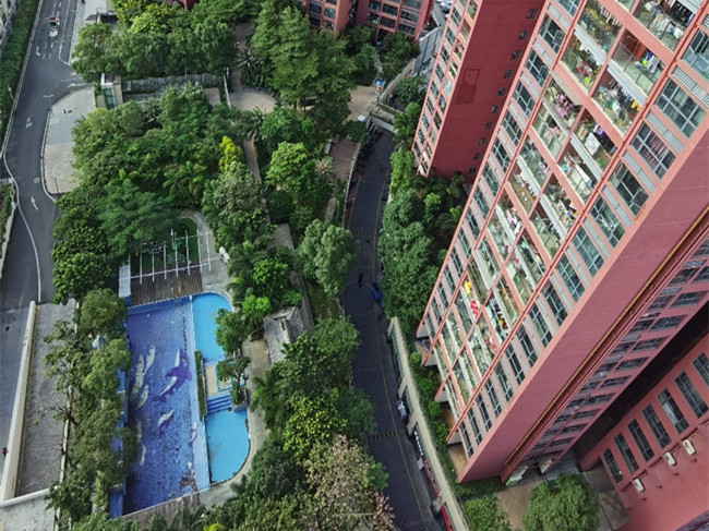 深圳龙岗龙东小产权房，金汐雅居四大栋规模，3地铁口旁，小区自带空中花园和游泳池。