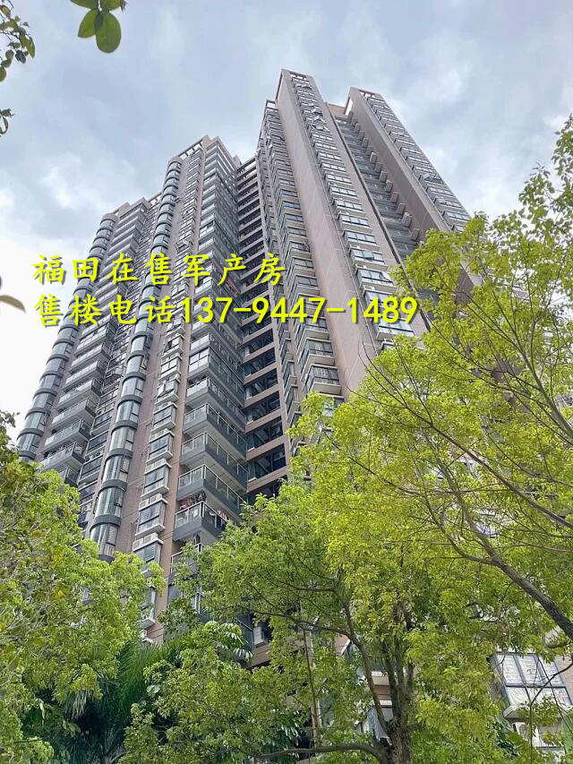 福田军产房_2023福田在售军产房不限购（2号线岗厦北站民水民电 双阳台）通燃气