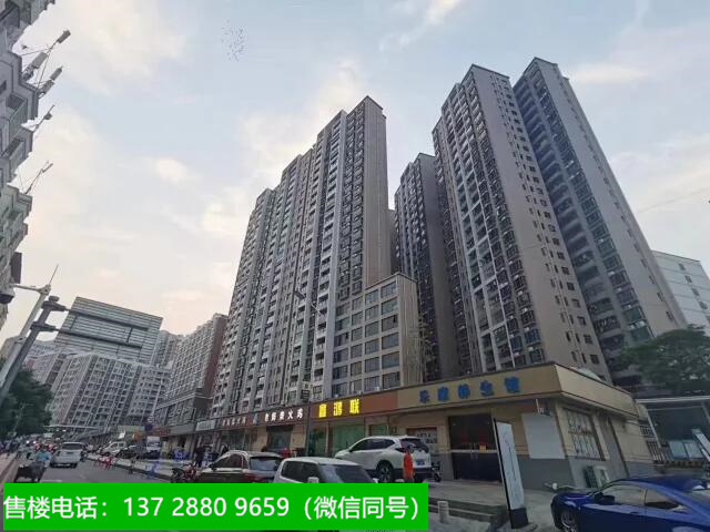 深圳观澜章阁小产权房（章阁中心城花园）六栋保留单位全部推出：真正原始户型，高性价比12500一平