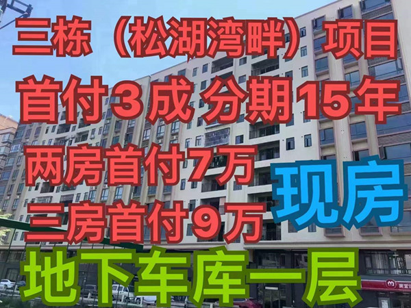 东莞企石松湖湾畔！三栋小区整栋红本小区有报建，自带一层车库，分期15年