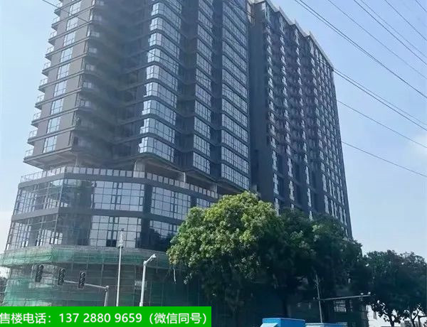 东莞厚街联邦广场，珊美小产权房！大润发0距离R2地铁线高品质楼盘