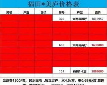 深圳福田(新洲村)小产权房《福田美庐》村委盖章——民水民电——独立过户