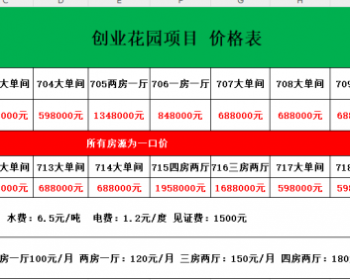 深圳北站创业花园（最新特价房）龙华区北站小产权房