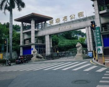 深圳西乡碧海天城，均价13800买双地铁口精装原始户型小产权房