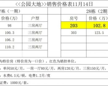 深圳6号线光明合水口地铁站200米笋盘：马山头小产权房（公园大地）