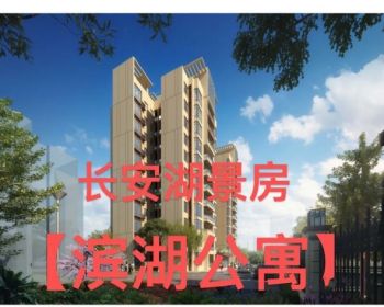 东莞长安滨湖公寓，东莞沙头小产权捡漏笋盘一房总价9.8万/套，首付3万，月供一千多