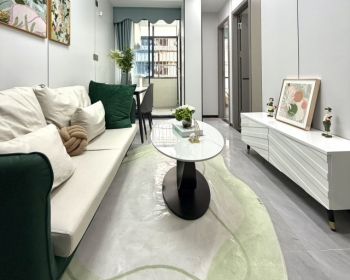 深圳坂田名邸，200米坂田北站+五和双地铁口小产权房子