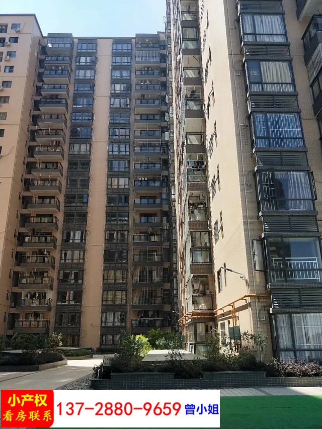 bj-vshop-1024128558-1527650963901-717809123_1080_1440.jpg