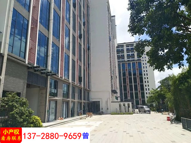 bj-vshop-1024128558-1531559050193-650933239_720_540.jpg