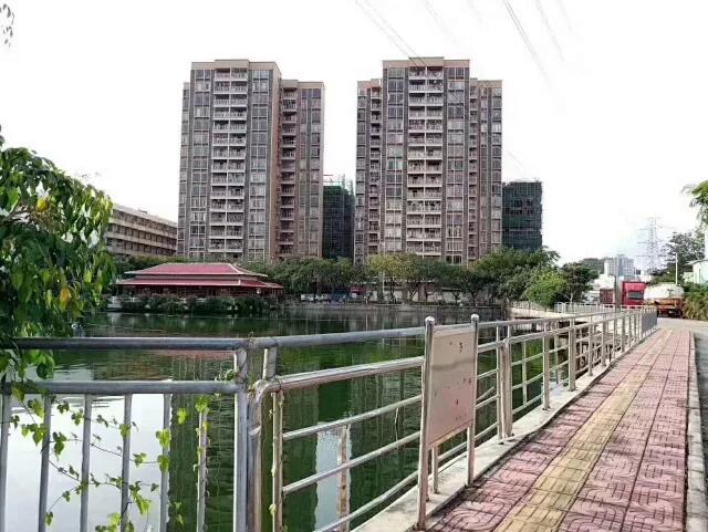 1560773340694950.jpg