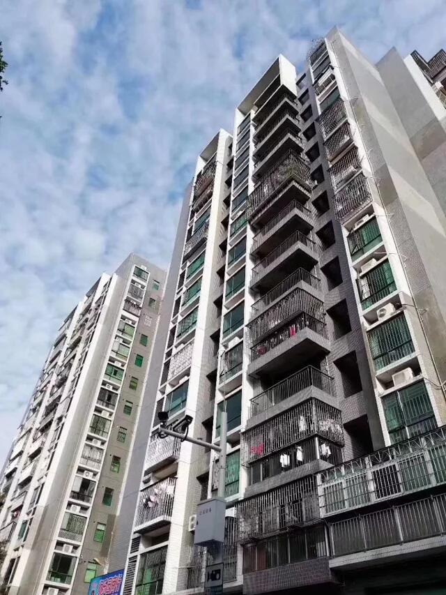 1558574714537975.jpg