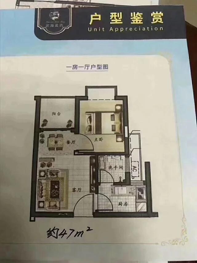 1568606945357313.jpg