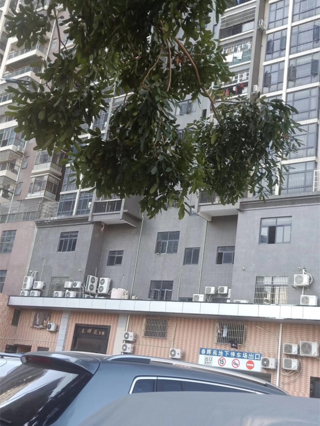 QQ图片20190925200656.jpg