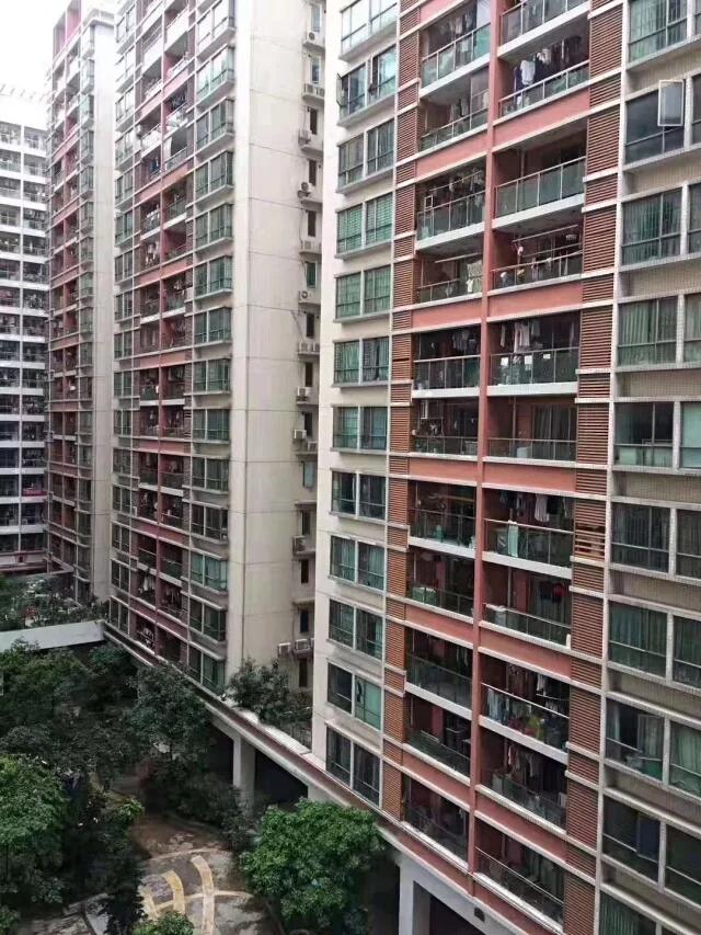 QQ图片20190925200656.jpg