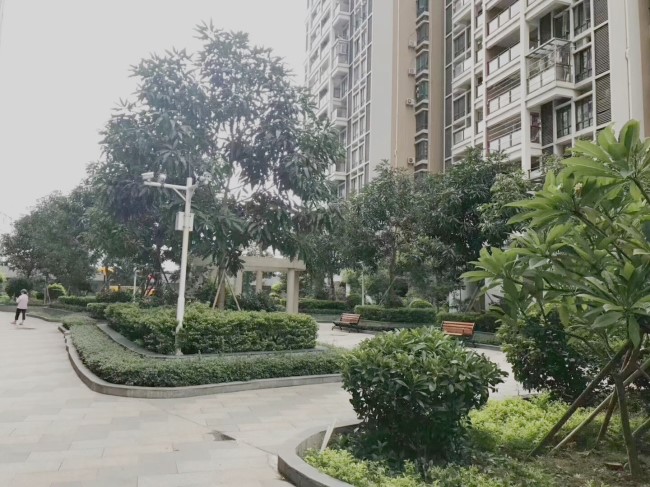 QQ图片20190927101152.jpg