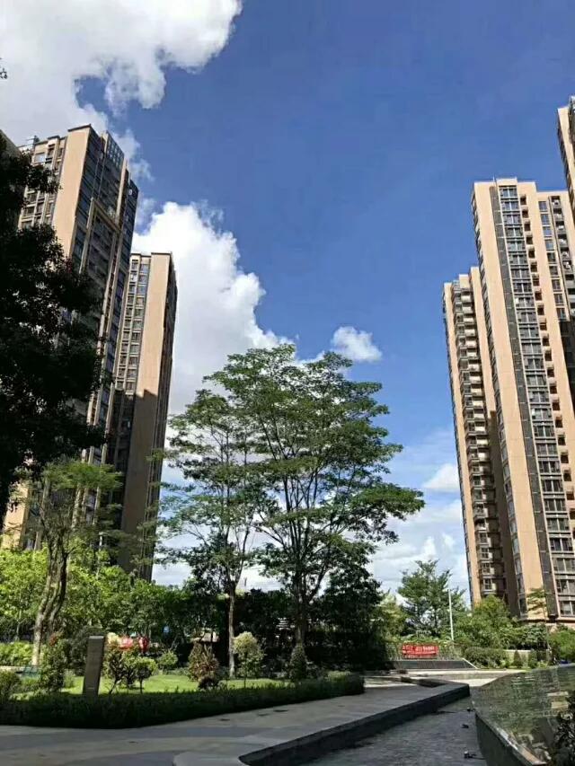 1570284991748362.jpg
