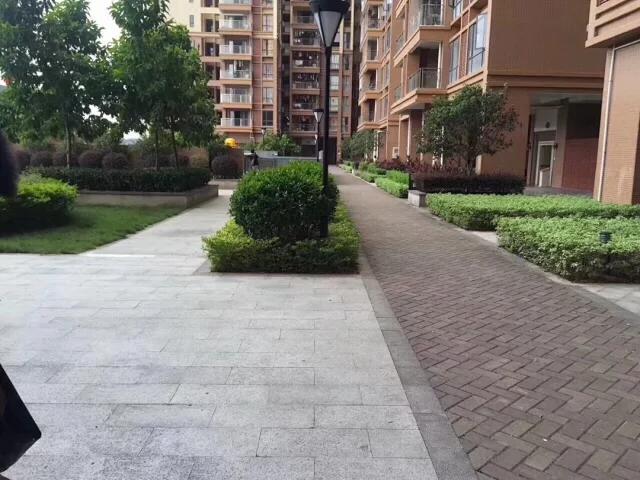 1552541034186704.jpg