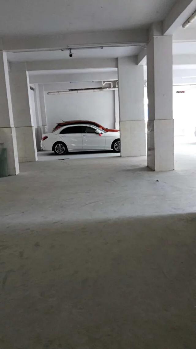 1570249195721770.jpg