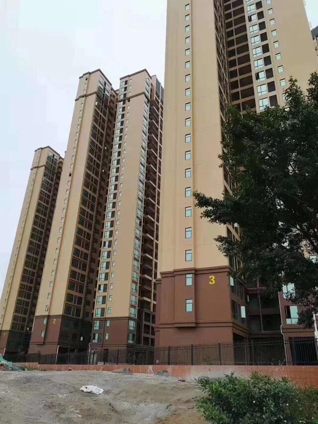 1571923740585984.jpg