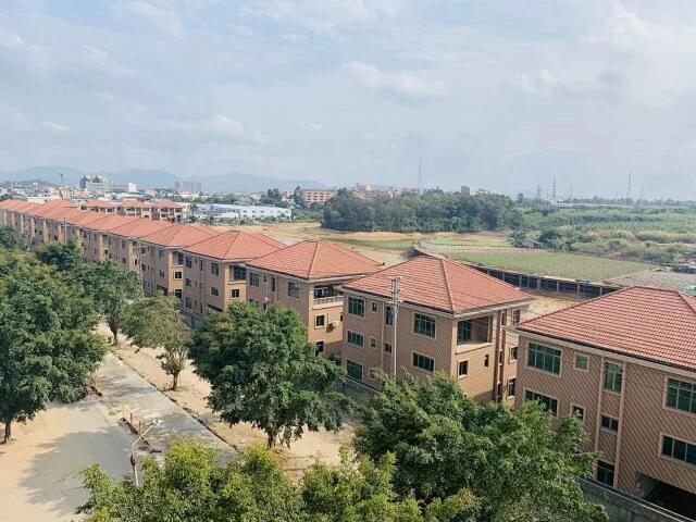 QQ图片20200409215913.jpg