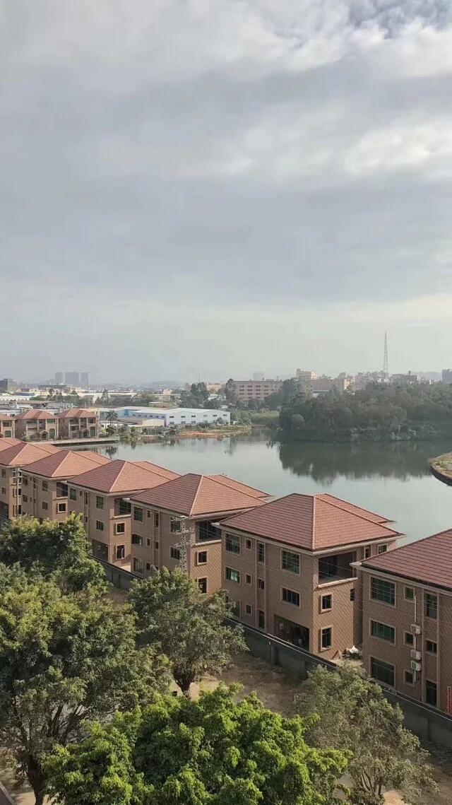 QQ图片20200409215854.jpg