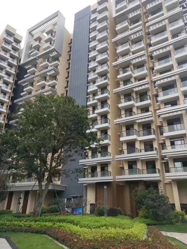 QQ图片20200417111738.jpg