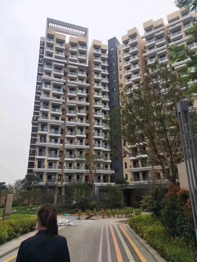 QQ图片20200417111735.jpg
