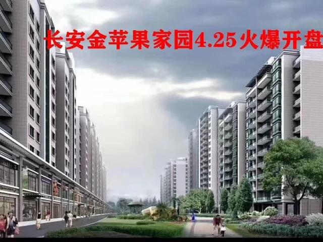 QQ图片20200425132435.jpg
