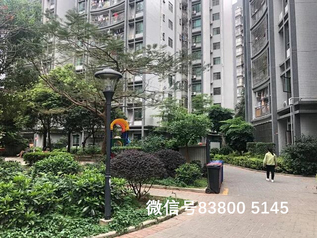 QQ图片20200428194306.jpg