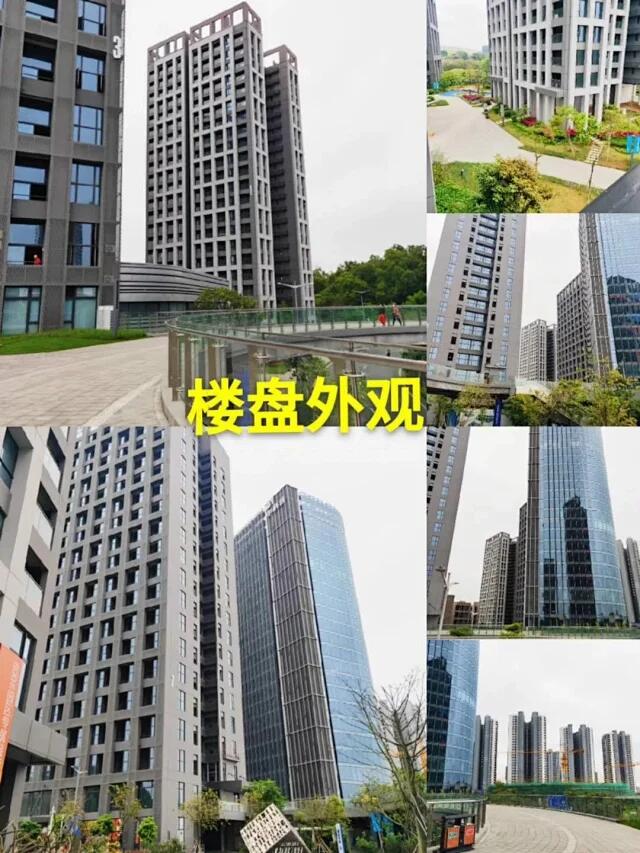 QQ图片20200428194316.jpg