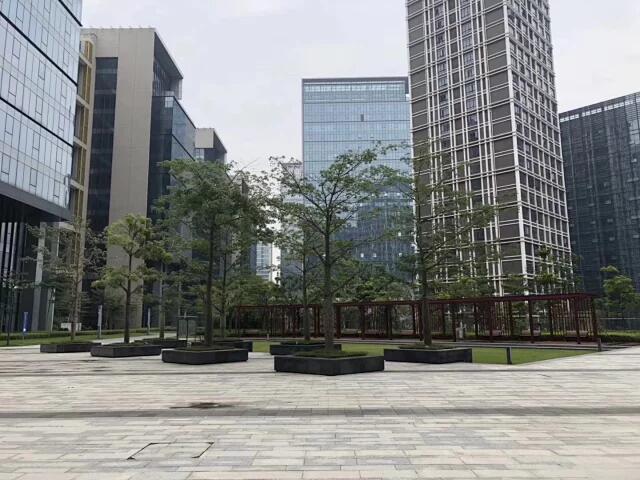 QQ图片20200429110428.jpg