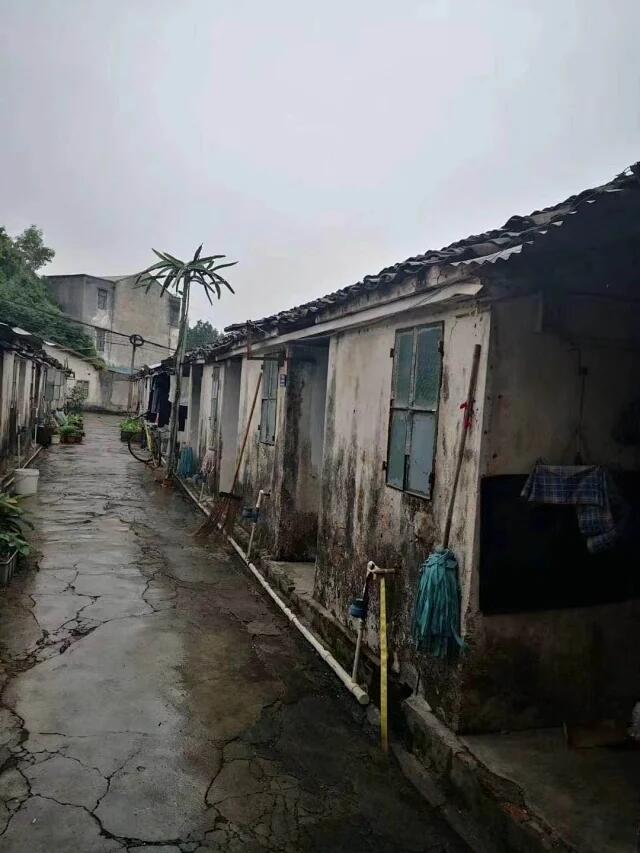 QQ图片20200429120711.jpg