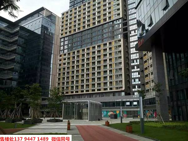 布吉中海信公寓.jpg