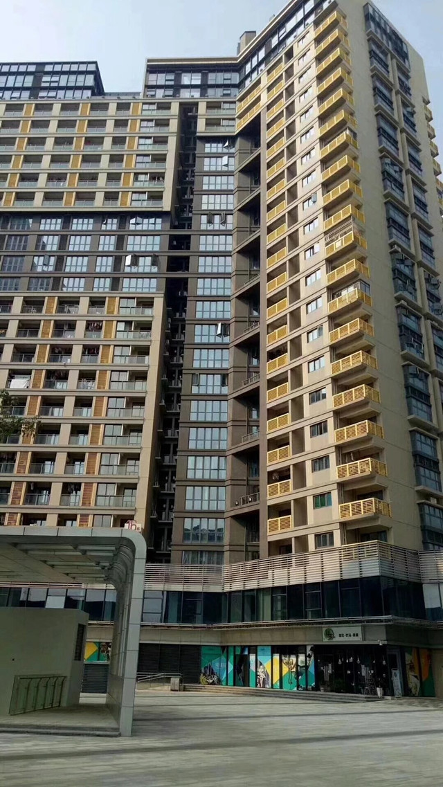 布吉中海信.jpg