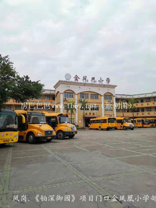 QQ图片20200729114758.jpg