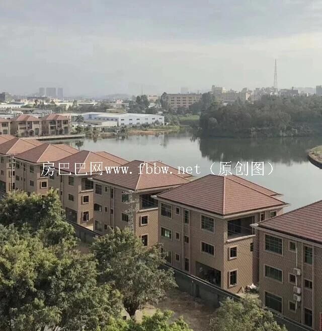 QQ图片20200729223243.jpg