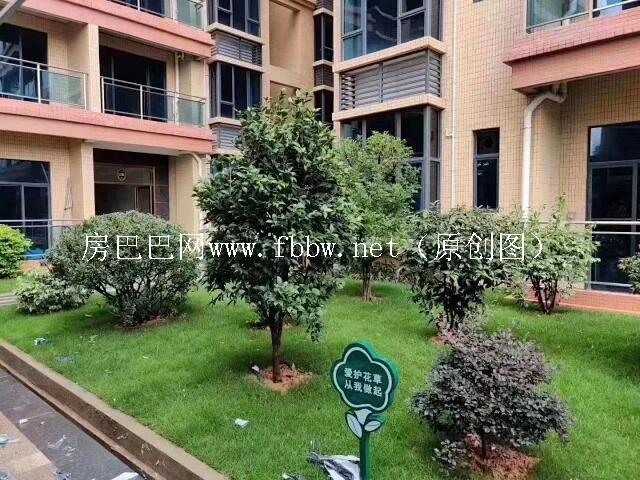 东莞茶山城东花园.jpg