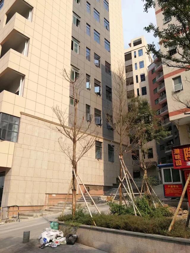 QQ图片20200803102259.jpg