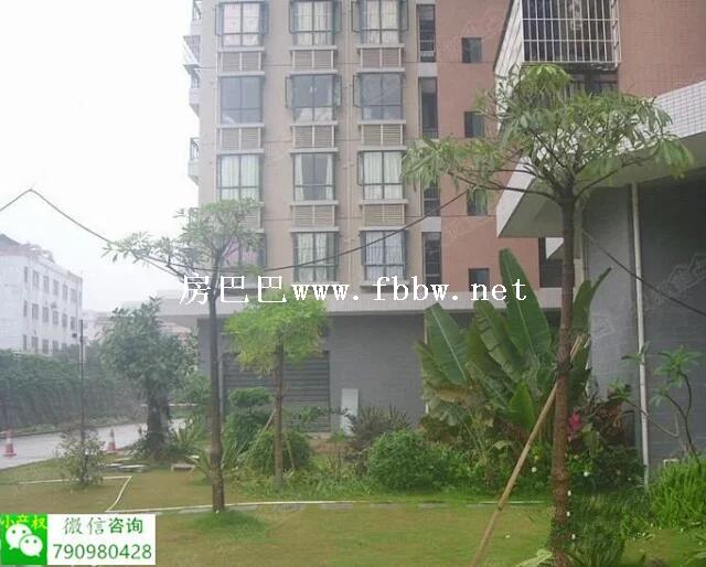 西乡畔海揽山.jpg