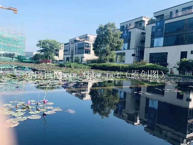 固戍畔海揽山.jpg