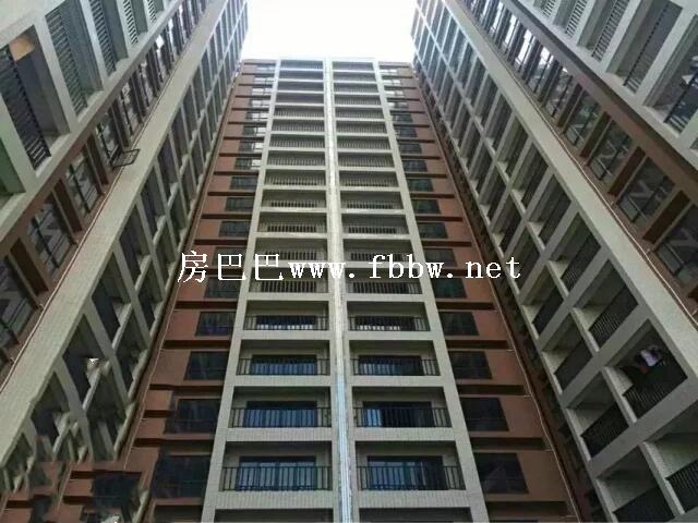 QQ图片20200819183207.jpg