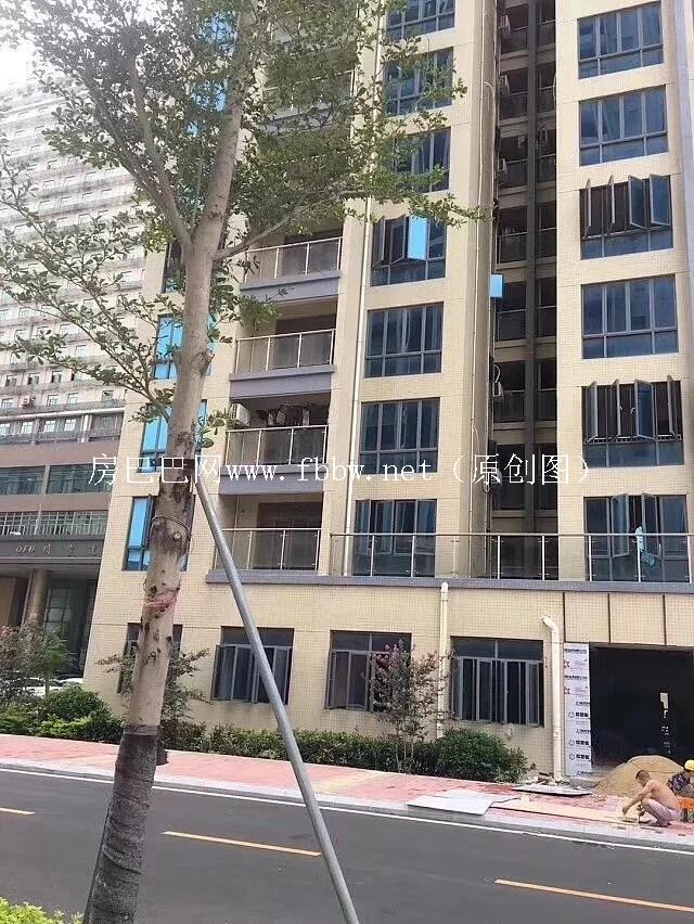QQ图片20200819183207.jpg